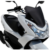Ζελατίνα Ermax Φιμέ κοντή 37cm Pcx 125/150 10'-13'