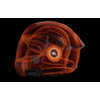 Cardo PACKTALK NEO JBL®